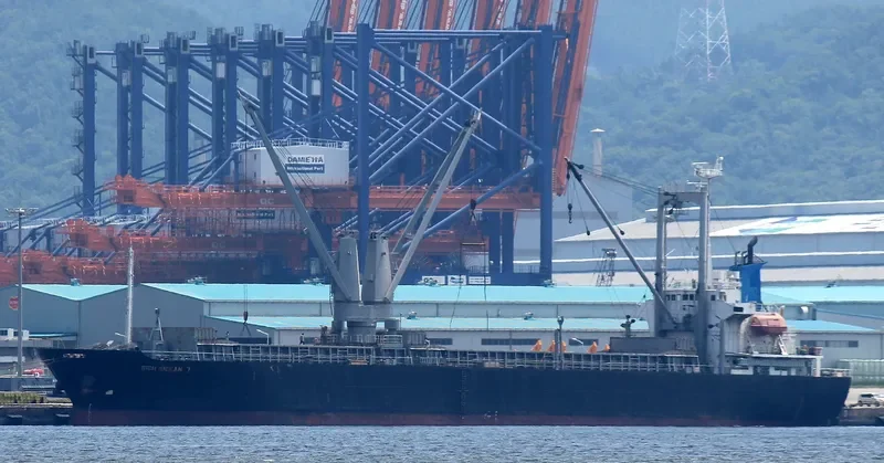NEW ALLIANCE 9 General Cargo IMO 9123843 photo 2