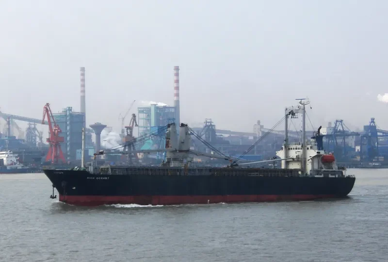 NEW ALLIANCE 9 General Cargo IMO 9123843 photo 6