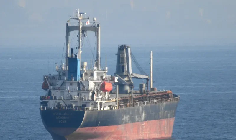 NEW ALLIANCE 9 General Cargo IMO 9123843 photo 8
