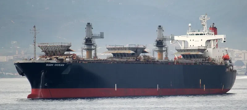 SIAM OCEAN Bulk Carrier IMO 9123934 photo 5
