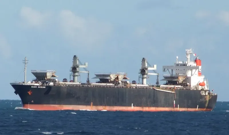 SIAM OCEAN Bulk Carrier IMO 9123934 photo 9