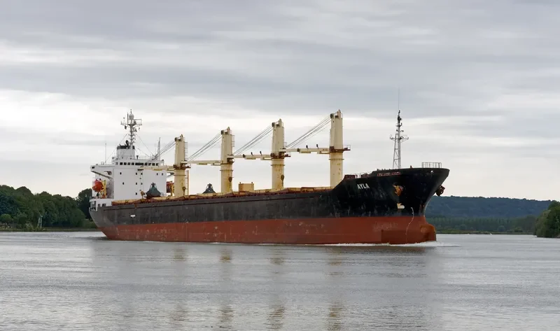FUTURE ID Bulk Carrier IMO 9123960