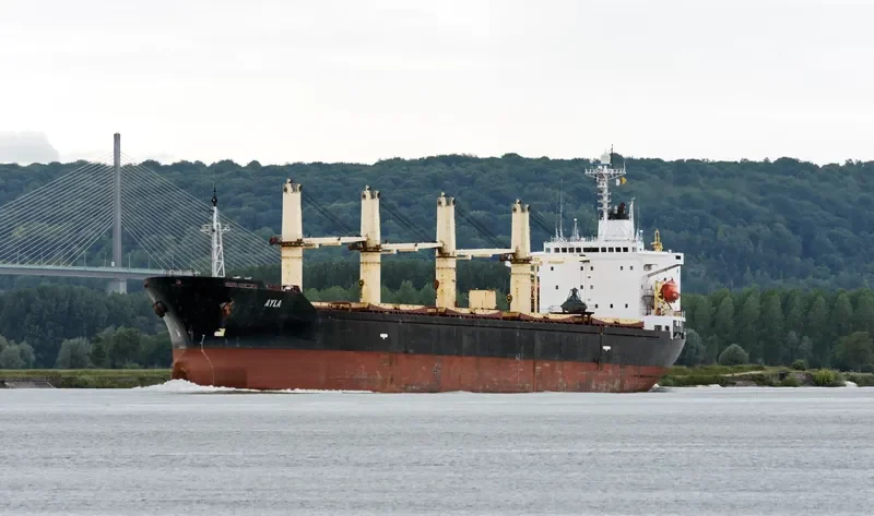 FUTURE ID Bulk Carrier IMO 9123960 photo 2