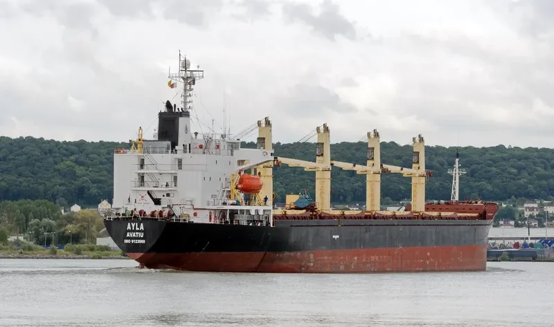 FUTURE ID Bulk Carrier IMO 9123960 photo 3