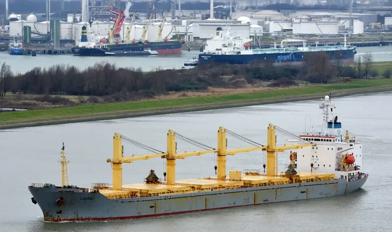 FUTURE ID Bulk Carrier IMO 9123960 photo 4