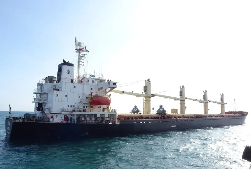 FUTURE ID Bulk Carrier IMO 9123960 photo 5