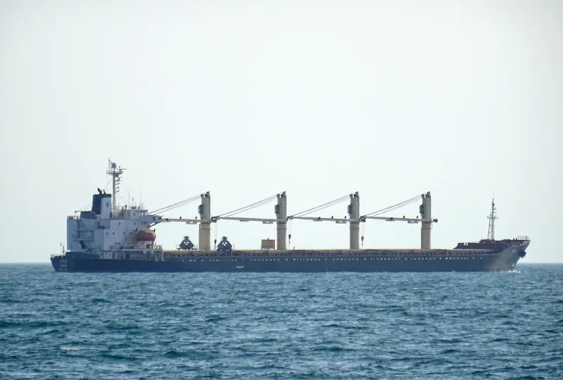 FUTURE ID Bulk Carrier IMO 9123960 photo 6