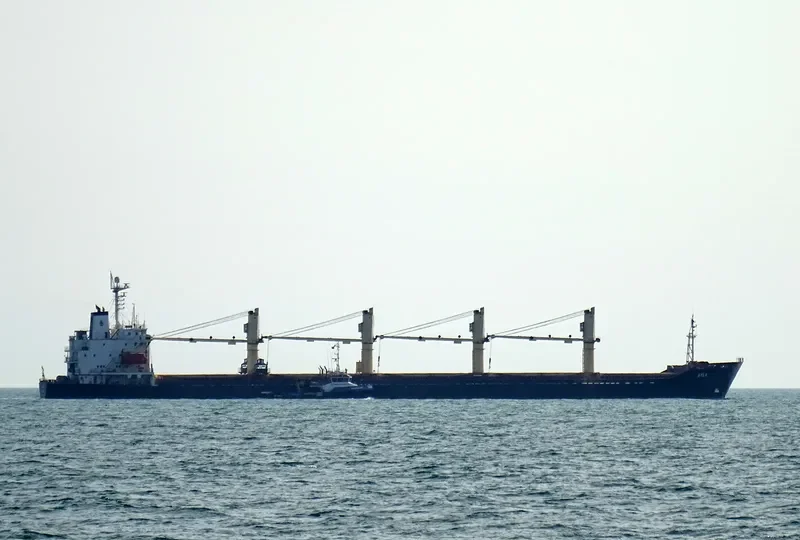 FUTURE ID Bulk Carrier IMO 9123960 photo 7