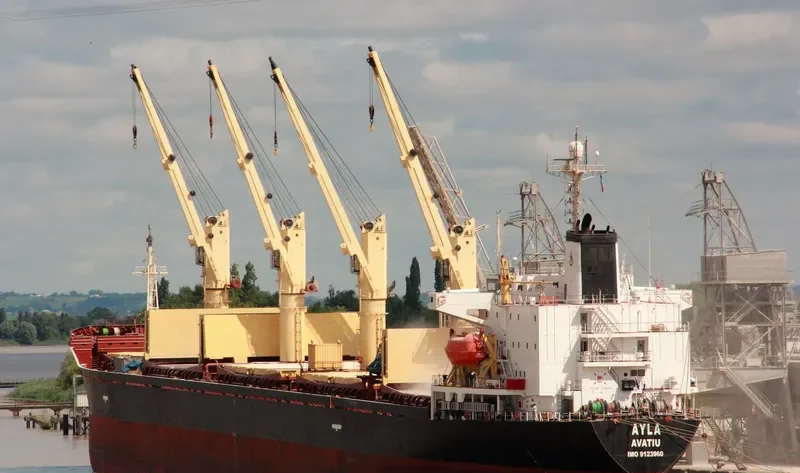 FUTURE ID Bulk Carrier IMO 9123960 photo 8