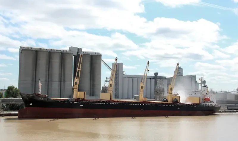 FUTURE ID Bulk Carrier IMO 9123960 photo 9
