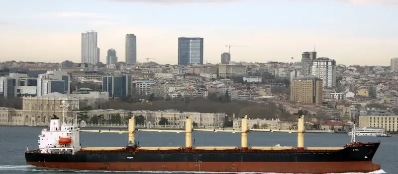 FUTURE ID Bulk Carrier IMO 9123960 photo 10