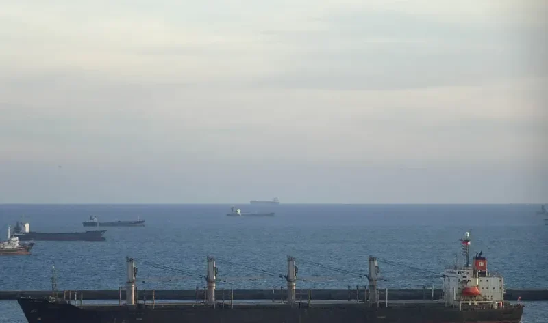 HALUS Bulk Carrier IMO 9123972 photo 3