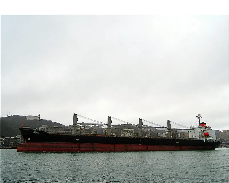 HALUS Bulk Carrier IMO 9123972 photo 4