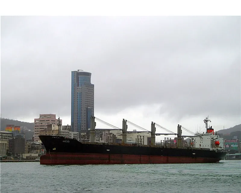 HALUS Bulk Carrier IMO 9123972 photo 5