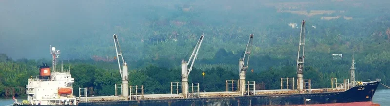 HALUS Bulk Carrier IMO 9123972 photo 6