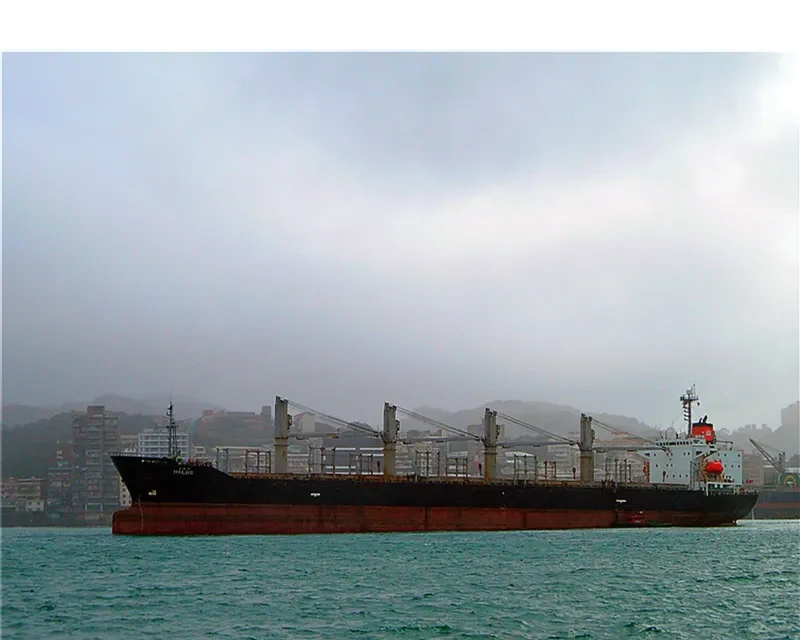 HALUS Bulk Carrier IMO 9123972 photo 10