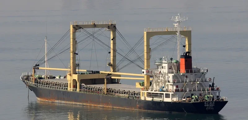 YAMA HARU General Cargo IMO 9124029 photo 8