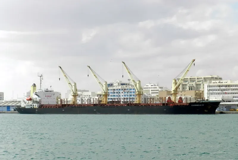 SHENG LE C Bulk Carrier IMO 9124146