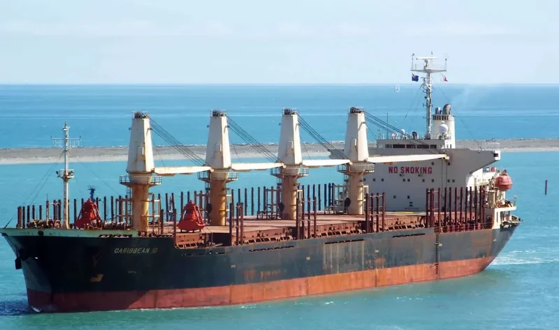 SHENG LE C Bulk Carrier IMO 9124146 photo 3