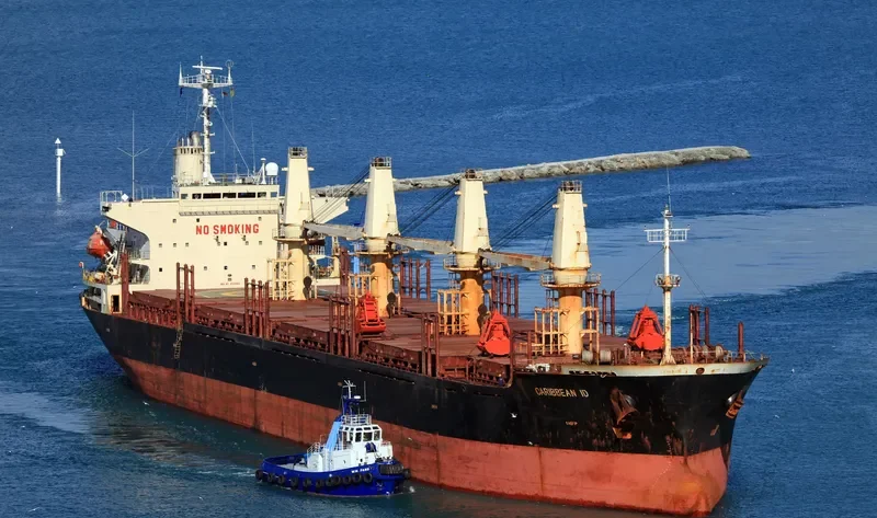SHENG LE C Bulk Carrier IMO 9124146 photo 5