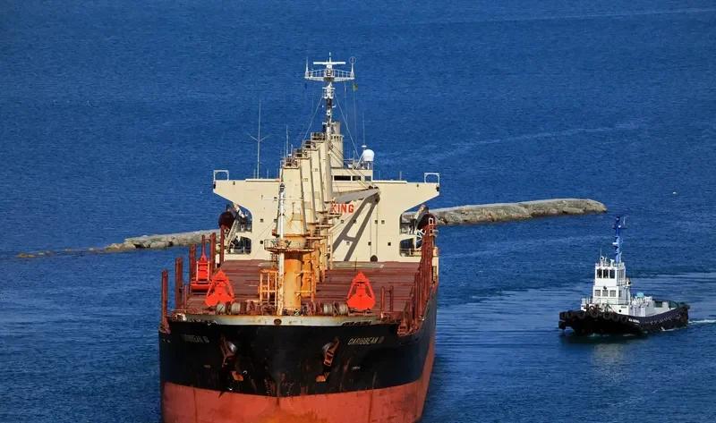 SHENG LE C Bulk Carrier IMO 9124146 photo 6