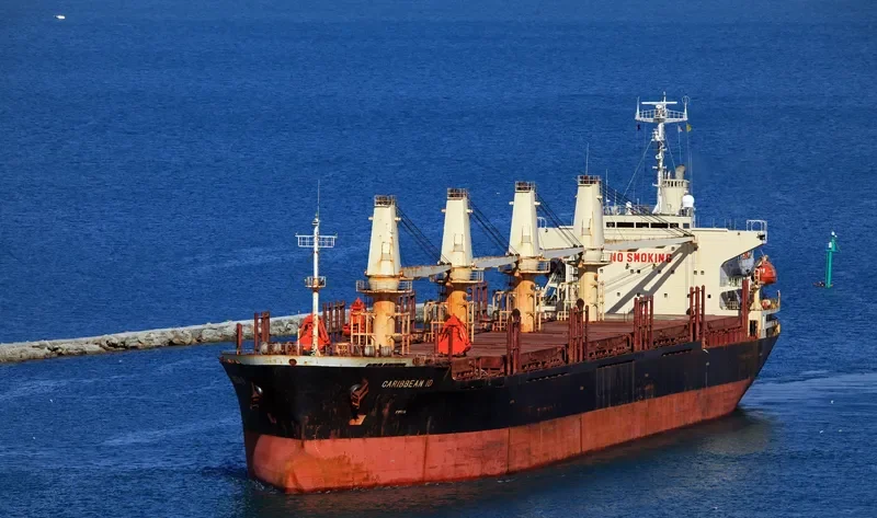 SHENG LE C Bulk Carrier IMO 9124146 photo 7