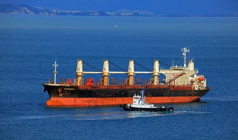 SHENG LE C Bulk Carrier IMO 9124146 photo 8