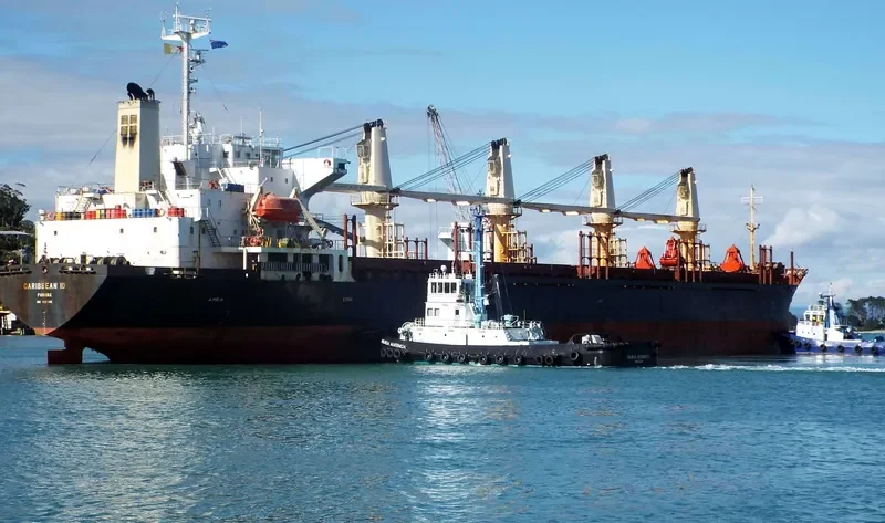 SHENG LE C Bulk Carrier IMO 9124146 photo 9