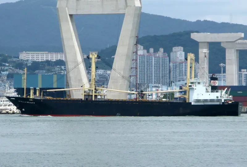 STELLA BEAUTY General Cargo IMO 9124225 photo 3