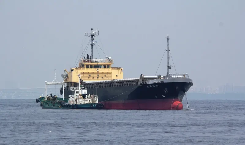 WONDERFUL General Cargo IMO 9124249
