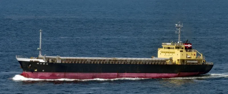 WONDERFUL General Cargo IMO 9124249 photo 2