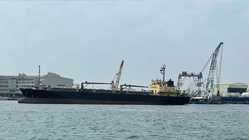 WONDERFUL General Cargo IMO 9124249 photo 4