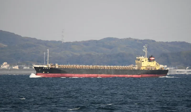 WONDERFUL General Cargo IMO 9124249 photo 8