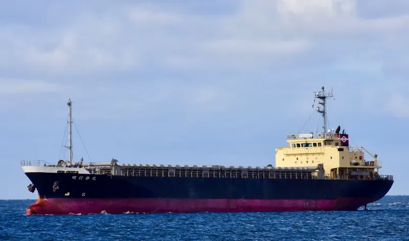 WONDERFUL General Cargo IMO 9124249 photo 9