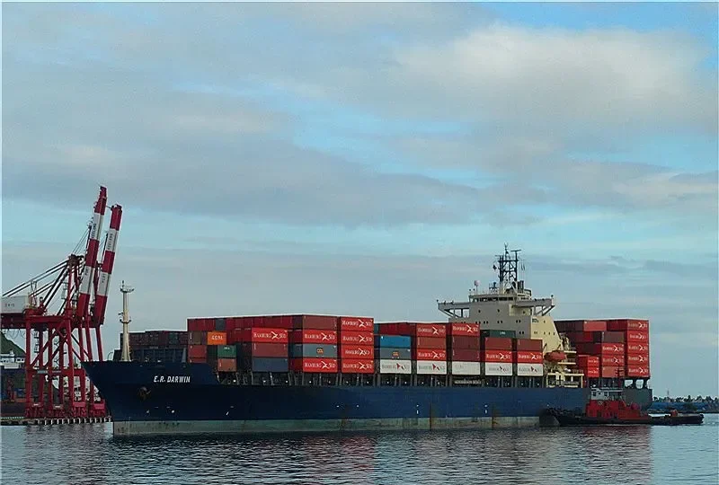 MSC IMMA Container Ship IMO 9124366 photo 2