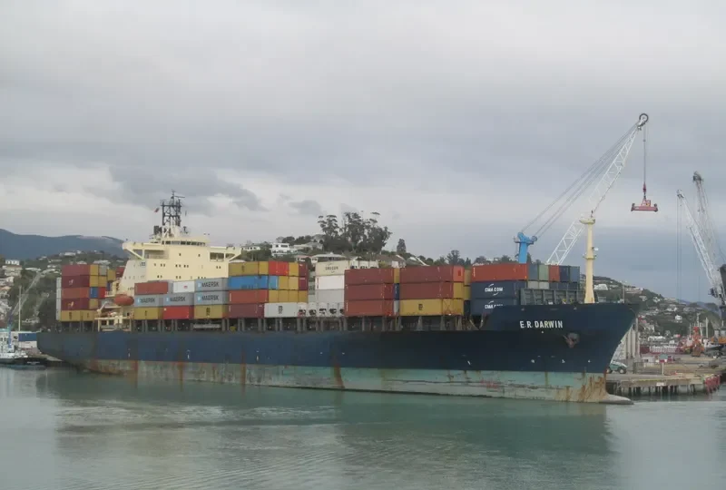 MSC IMMA Container Ship IMO 9124366 photo 3