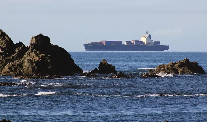 MSC IMMA Container Ship IMO 9124366 photo 4