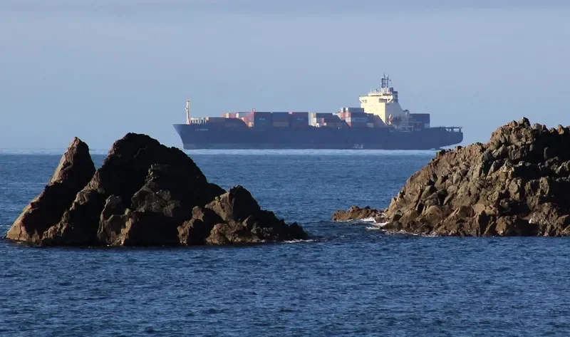 MSC IMMA Container Ship IMO 9124366 photo 5