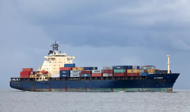 MSC IMMA Container Ship IMO 9124366 photo 7