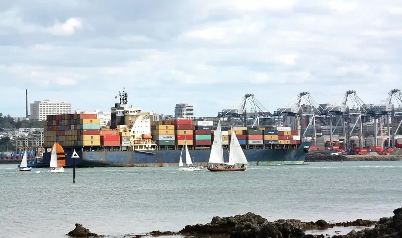 MSC IMMA Container Ship IMO 9124366 photo 8