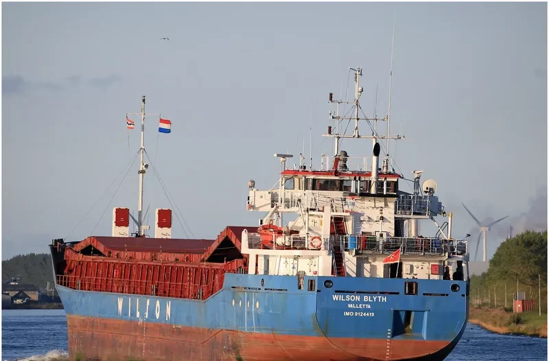 WILSON BLYTH Container Ship IMO 9124419 photo 3