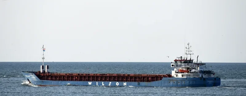 WILSON BLYTH Container Ship IMO 9124419 photo 8