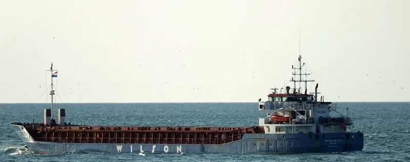 WILSON BLYTH Container Ship IMO 9124419 photo 10