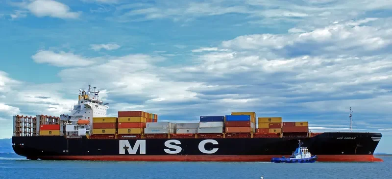 MSC CARLA 3 Container Ship IMO 9124512 photo 3