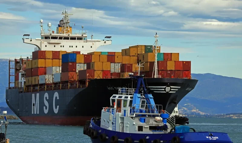 MSC CARLA 3 Container Ship IMO 9124512 photo 5