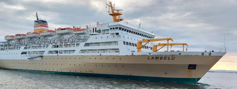 LAMBELU Passenger Ship IMO 9124548 photo 5