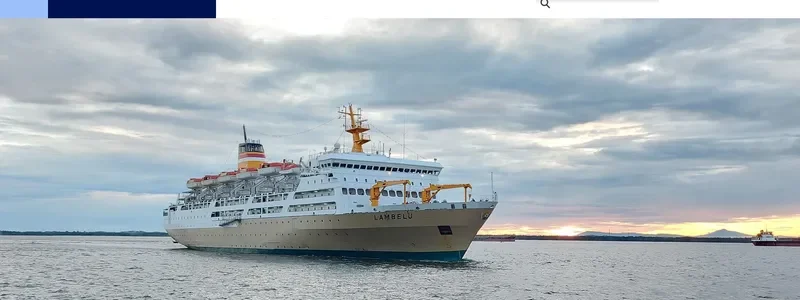 LAMBELU Passenger Ship IMO 9124548 photo 6