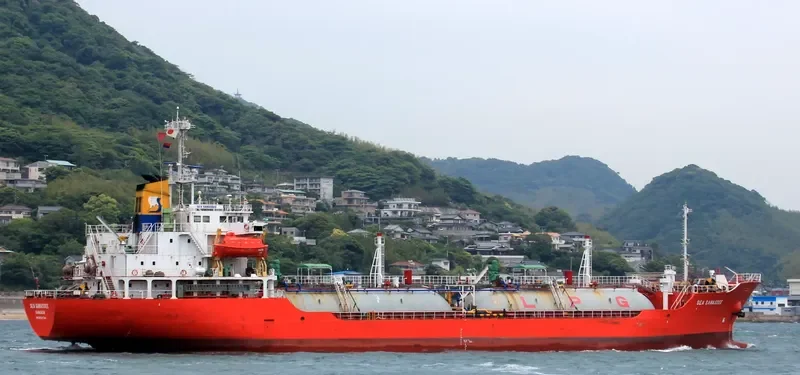 LADY MARGAUX General Cargo IMO 9124744 photo 2