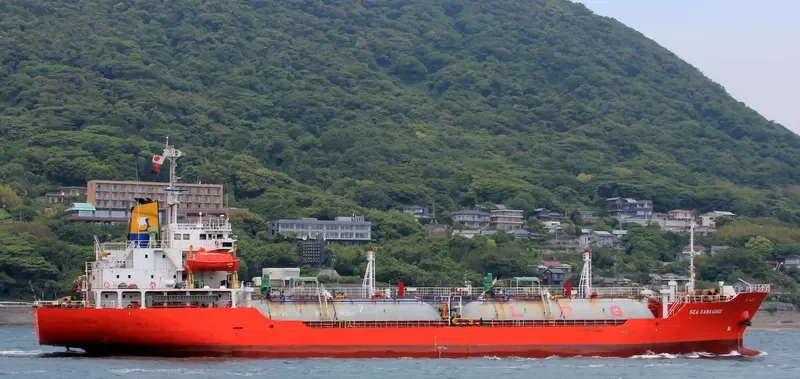 LADY MARGAUX General Cargo IMO 9124744 photo 3