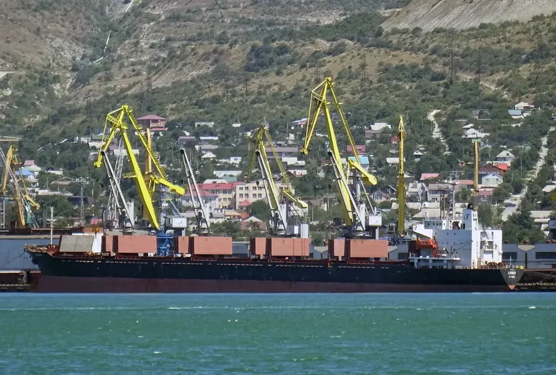 NEW LEGACY Bulk Carrier IMO 9124782